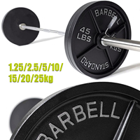 VIGFIT Prix direct usine Ensemble de poids pour salle de sport à domicile, Disques de poids en fonte, Vente en gros de poids libres, Disques de poids pour barre de musculation