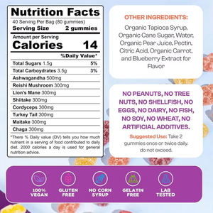 פטרייה gummies עם אריות רישי אשוואגנאנדה ו קורדיקפים יצוא באיכות בתפזורת סיטונאית oem - Product Image 2