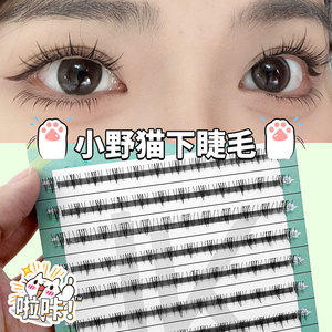 Wildcat Lower <b>Lashes</b> 10 Rows Natural Soft Individual <b>Clusters</b> For Eye Makeup - Product Image 1