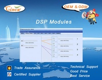 Module Audio Dsp pour réseau linéaire Active et amplificateur numérique, retardement en entrée avec 20ms