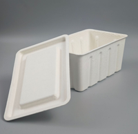 Conteneurs rigides biodégradables de grande taille personnalisables, boîtes d'emballage en pulpe de canne à sucre moulées, gaufrage, jetables, rectangulaires