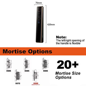 Serratura Intelligente con Impronta Digitale, Videocitofono, App Tuya, Carta NFC, Codice RFID, Scheda di Memoria, Riconoscimento Facciale 3D, Serratura Digitale per Porte in Legno - Product Image 5
