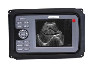 Escáner de ultrasonido veterinario a precio de fábrica-1 año de garantía, soporte en línea 24x7 - Product Image 4
