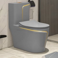 Nouvel ensemble de cuvettes de toilettes en céramique colorée gris luxe léger avec siphon anti-odeur pour salle de bain