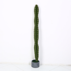 Plastique <span class=keywords><strong>Cactus</strong></span> Succulentes grandes plantes artificielles en pot - Product Image 6