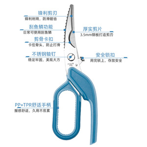Kitchen Scissor Stainless Steel 9.5 Inch Blue Elbow Shape For Home Use - Product Image 2