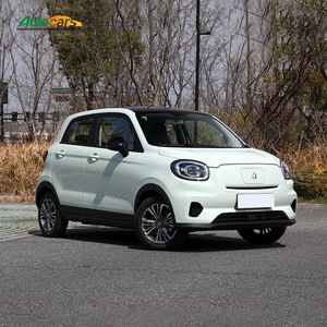 Leapmotor T03 2025 403KM Comfort Edition Mini EV : Voiture électrique idéale pour la conduite urbaine à courte distance et les trajets courts - Product Image 3