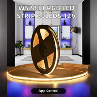 Bande LED d'usine à contrôle par application, adressable, 60 LED/m, étanche IP65, 12V, intelligente, RVB, flexible, pour aménagement paysager