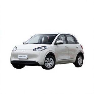 Wuling Bingo <span class=keywords><strong>2023</strong></span> 203KM Édition Confort Coffre Arrière Pliable Suspension Simple Mini Voiture Électrique Compacte Facile à Stationner Hayon Rétro Moteur 50kW - Product Image 1