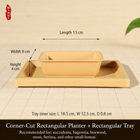 Pots à fleurs rectangulaires carrés pour plantes succulentes, en résine céramique, design respirant, plastique épaissi, écologique, style chinois rustique