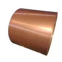 Bobine d'acier Z275 prélaquée, doublement enduite, colorée, zinguée, norme ASTM, pour applications de tôles découpées