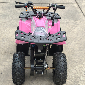 <span class=keywords><strong>Quad</strong></span> électrique de course 48V 1000W à transmission par arbre, pneus tubeless de 6 pouces, vente chaude - Product Image 3