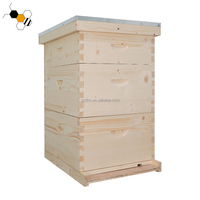 Neuer Natürlicher Holz-Bienenstock mit 30 Polierten Rahmen im Langstroth-Design