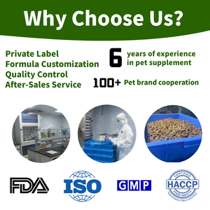 <span class=keywords><strong>Probióticos</strong></span> suaves <span class=keywords><strong>para</strong></span> <span class=keywords><strong>perros</strong></span> Oem, masticables, salud intestinal, alergias estacionales, soporte digestivo, <span class=keywords><strong>probióticos</strong></span>, masticables, <span class=keywords><strong>probióticos</strong></span> digestivos <span class=keywords><strong>para</strong></span> <span class=keywords><strong>perros</strong></span> - Product Image 6