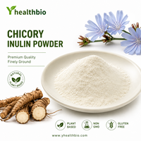 Poudre fine d'inuline de chicorée sans allergène, dérivée de plantes, qualité stable, emballage standard pour formules alimentaires
