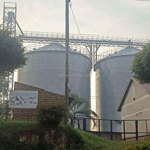 500 Ton 800 Tons Silos de almacenamiento Silos de metal Silo de almacenamiento de granos Maíz 2500t - Product Image 4