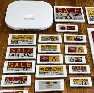 Kit de Demostración ESL, Etiquetas Electrónicas Inteligentes para Almacenes, Etiquetas de Precio con Pantalla de Tinta Electrónica, Etiquetas Electrónicas Inalámbricas para Estantes con Wifi - Product Image 6