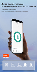 Qleung Volautomatische 3d Face Id Video Calling Vingerafdruk Palmcode Tuya Wifi Key Card S666 Digitaal Slot Voor Thuis Appartement - Product Image 3