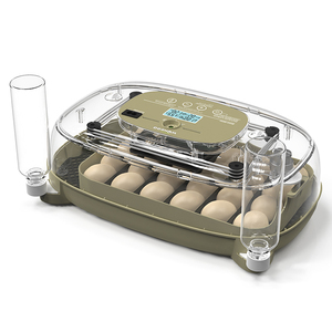 <span class=keywords><strong>HHD</strong></span> DLM-<span class=keywords><strong>24</strong></span> Matériel agricole Incubateur à œufs Machine à couver les œufs <span class=keywords><strong>Mini</strong></span> incubateur à œufs <span class=keywords><strong>24</strong></span> œufs Incubateur 100 œufs - Product Image 6