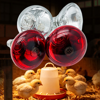 Lampe chauffante infrarouge pour bétail, lampe de chauffage pour élevage porcin, lampe de couvaison pour porcelets, équipement de chauffage pour l'élevage
