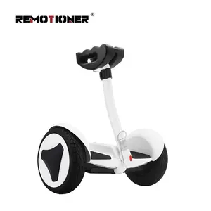 10 Inch off-Road 700w motor Intelligent Balance Car, self balancing electric scooter for outdoor sports