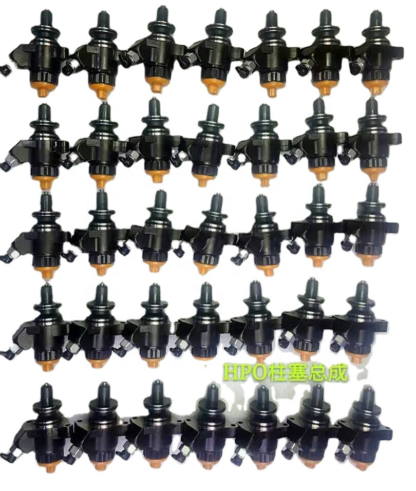 High Quality Diesel Fuel Injection Pump Plunger CP2.2 2469403352 For Pump 0445020062
