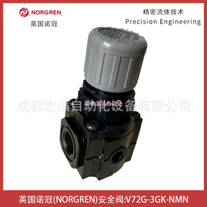 วาล์วนิรภัยนอร์เกรน รุ่น V72G-3GK-NMN เกลียวขนาด 1/2 นิ้ว สำหรับแก๊ส อุณหภูมิปกติ - Product Image 3
