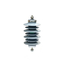 Parafoudre DGG pour réseau électrique, protection contre les impulsions électriques, équipement électrique extérieur, parafoudre à oxyde métallique