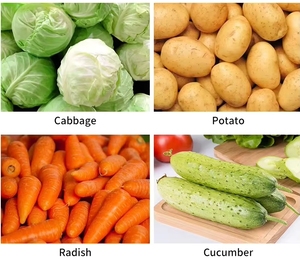 Máquina Cortadora <span class=keywords><strong>de</strong></span> Verduras, Deshidratadora <span class=keywords><strong>de</strong></span> Frutas y Hojas, Cortadora en Cubos, Trituradora, Limpiadora, Rebanadora, Picadora <span class=keywords><strong>de</strong></span> Verduras - Product Image 6