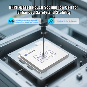 Túi đựng pin Paragonage, pin Sodium Cell 5.5Ah 20Ah NFPP, pin Ion Natri 3000 chu kỳ, pin Ion Natri 3.0V - Product Image 6