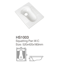 Vente en gros de toilettes professionnelles en céramique de couleur blanche, cuvette de toilette accroupie