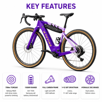Vélo de gravier électrique entièrement en carbone avec moteur central 250W 75Nm, batterie 36V 15Ah, frein à disque hydraulique 12 vitesses, pneus 700x40C, ODM