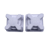 Barquettes en pulpe biodégradable PPWR, conception gratuite, emballage en pulpe, emballage en fibre moulée personnalisé, fournisseur professionnel de barquettes en pulpe