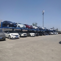 2 Seviyeli 2 Kolonlu Ortak Kullanımlı İki Silindirli Hidrolik Konut Tipi Ticari Çift Katlı Otomotiv Park Asansörü Araç İstifleyici