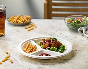 <span class=keywords><strong>Assiette</strong></span> <span class=keywords><strong>jetable</strong></span> biodégradable en bagasse de canne à sucre PT PACK 3 compartiments 9 pouces - Product Image 3