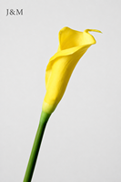 Fleurs artificielles décoratives en PU Calla Lily, grande taille 65CM, vente en gros, haute qualité, toucher réel, blanc et violet, collection 2026