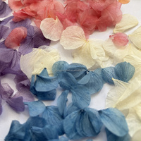 Pétales de fleurs d'hortensia Anna naturelles préservées, 100 % toucher réel, blanc, rose, crème, pour décoration de mariage et matériaux de bricolage