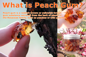 Vente en gros Taojiao Gomme de pêche pure naturelle de pêcher <span class=keywords><strong>fruitier</strong></span> - Product Image 5