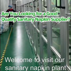 SK OEM-servilletas higiénicas para mujeres, toallitas sanitarias de algodón orgánico sin sarpullido - Product Image 6