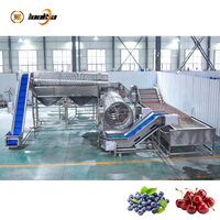 Industriële bessenontstammer-waslijn, groente- en fruitbelwasmachine, automatische bessenwasmachinelijn
