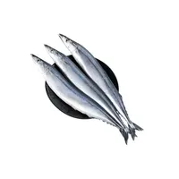 pacific saury, pacific saury Suppliers and Manufacturers at