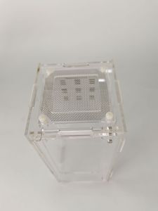 Lồng Bò Sát Bằng Nhựa Acrylic Với Lưới Và Cửa Từ Tháo Rời Acrylic Bò Sát Hồ Cạn Cầu Nguyện Bọ Ngựa Trường Hợp Trung Chuyển - Product Image 3