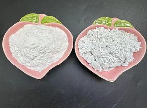 Functional Additive Flux Calcined Diatomite Powder <strong>Non</strong>-<strong>Metallic</strong> <strong>Mineral</strong> <strong>Deposit</strong> Product - Product Image 3