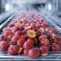 Setengah Buah Plum Merah Beku Halal IQF Grade A dalam Kemasan Besar |   100% Plum Merah Segar Tanpa Biji Alami untuk Selai, Kue, & Smoothie