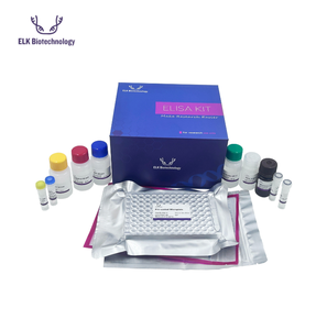 Kit ELISA para CHEM (Chemerina) Humana ELK1953 |   ELISA Sandwich para Uso en Investigación Científica - Product Image 1
