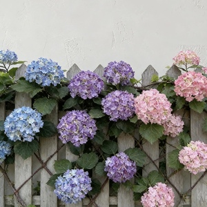 Fleurs artificielles réalistes à 3 têtes, en polyester, faites à la main, décoration moderne pour la maison - Product Image 5