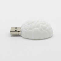 Kapasitas Penuh Disesuaikan Silikon Usb 2.0 Flash Drive PVC Berbentuk Otak Usb Stik Memori