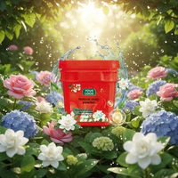 Détergent à lessive en poudre à faible mousse de 2,5 kg pour machine à laver automatique, vente en gros, OEM, marque privée