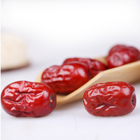 Heetverkopende Chinese rode dadels Jujube gezonde gedroogde vruchten voedzame snack