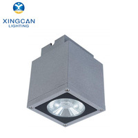 Lampe murale LED à montage au plafond, étanche IP65, pour extérieur, 9*2W 16*2W COB 20W 30W, personnalisable, à intensité variable, garantie 3 ans